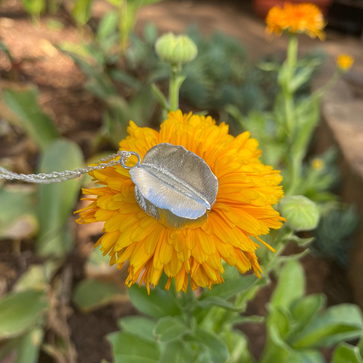 Sterling Silver Combretum Pod Necklace