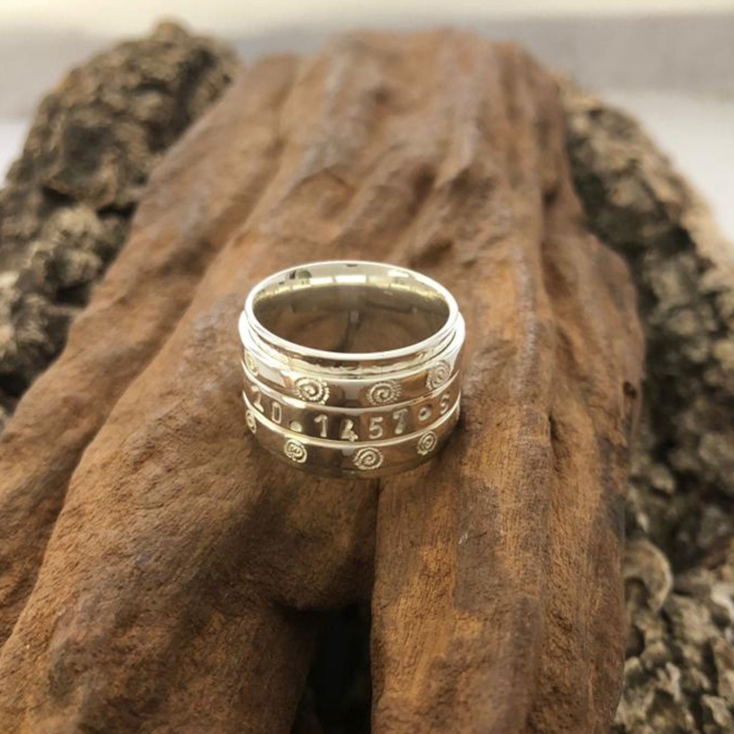 Take Me Home Ndoro GPS Spinner Ring Made in Sterling Silver , Hand Stamped GPS Coordinates, Coordinates Silver Ring