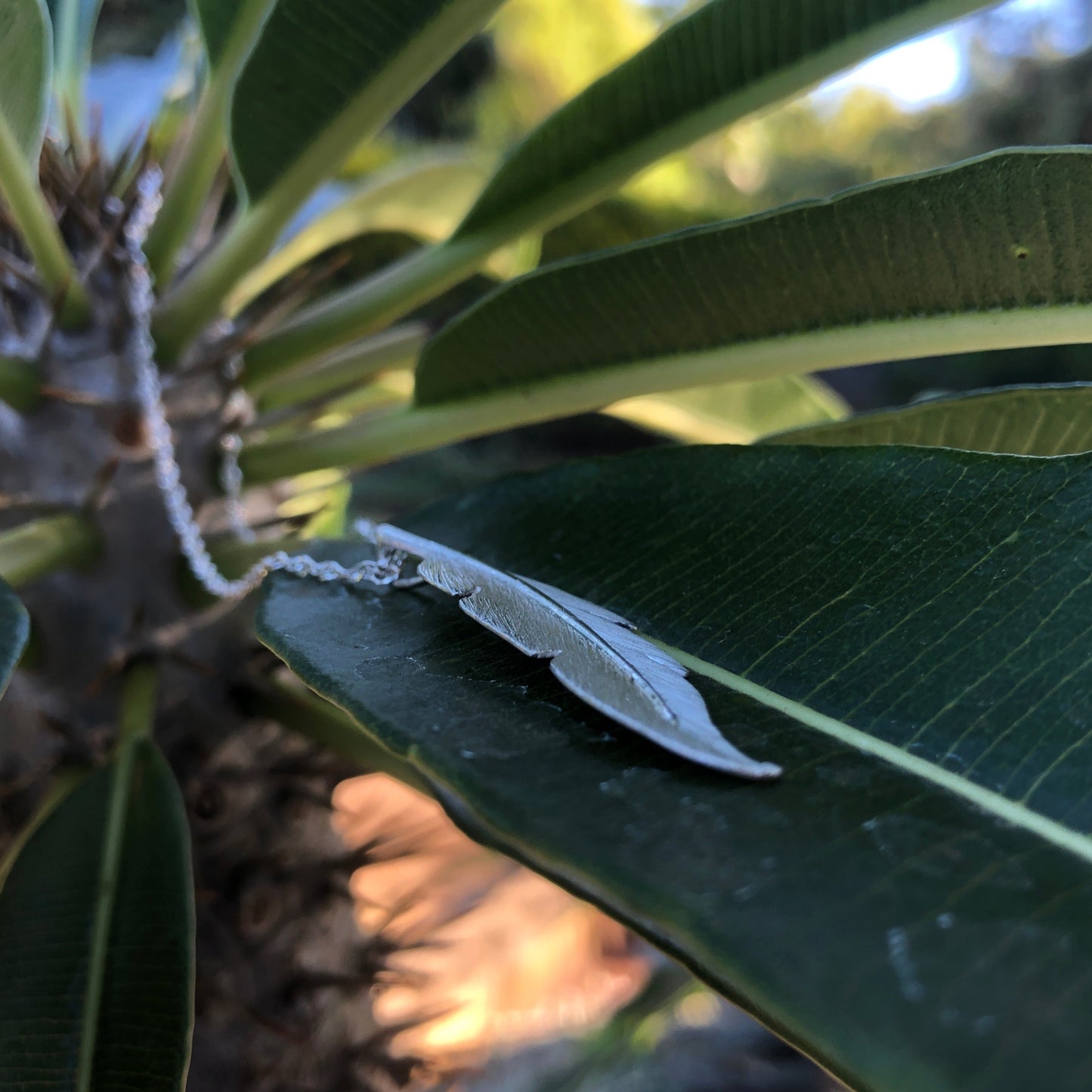 Feather Necklace